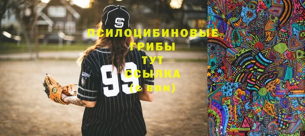 метадон Белокуриха