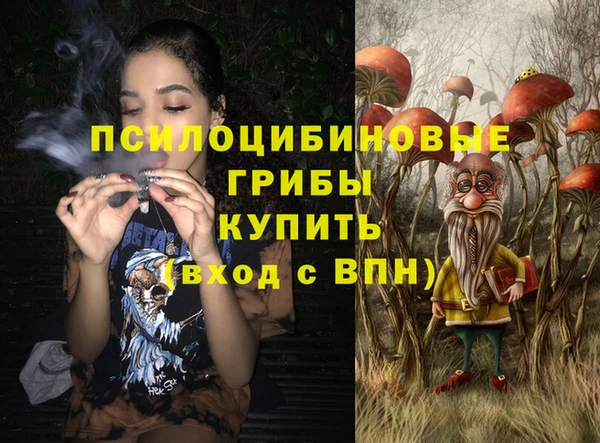 метадон Белокуриха